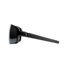 BSG-69 sports glasses Chester Smoke flash mirror