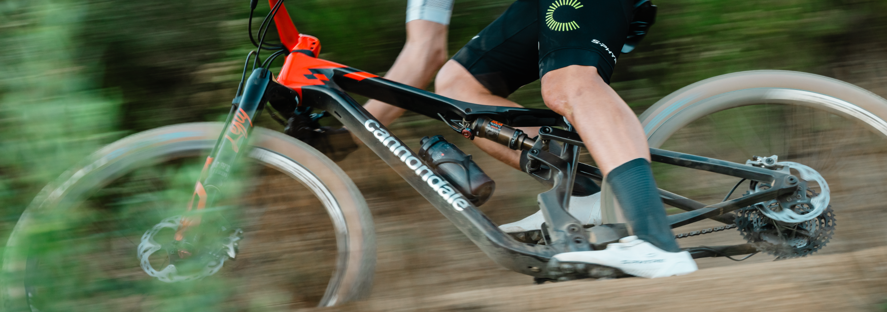 Cyclist riding a Cannondale bike through a forest